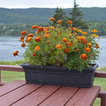 Mountain Vista Seaside Cottages Big Bras d'Or Room photo