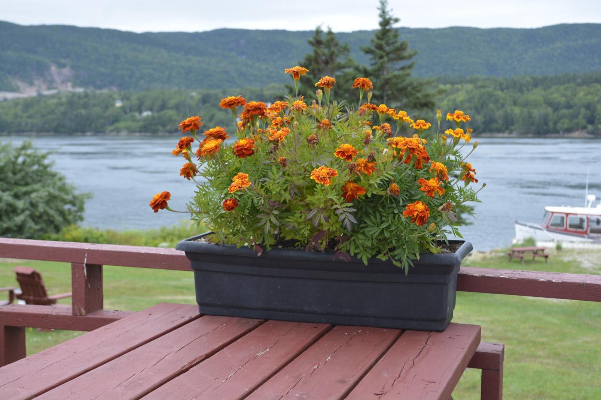 Mountain Vista Seaside Cottages Big Bras d'Or Room photo